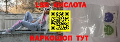 прущие грибы Краснодар