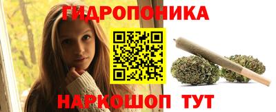 прущие грибы Краснодар