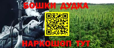 a pvp Краснознаменск