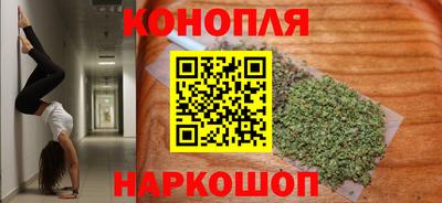 прущие грибы Краснодар