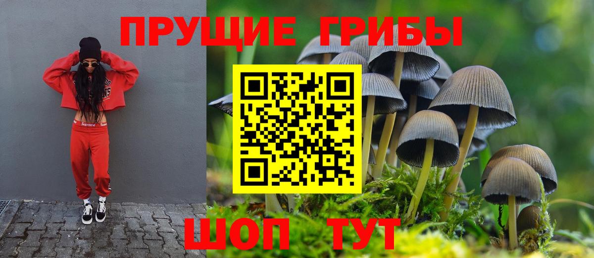 Псилоцибиновые грибы MAGIC MUSHROOMS  Вход с VPN  закладки  Кемерово 